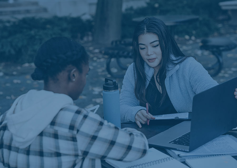 two students sitting at a picnic table looking at a laptop