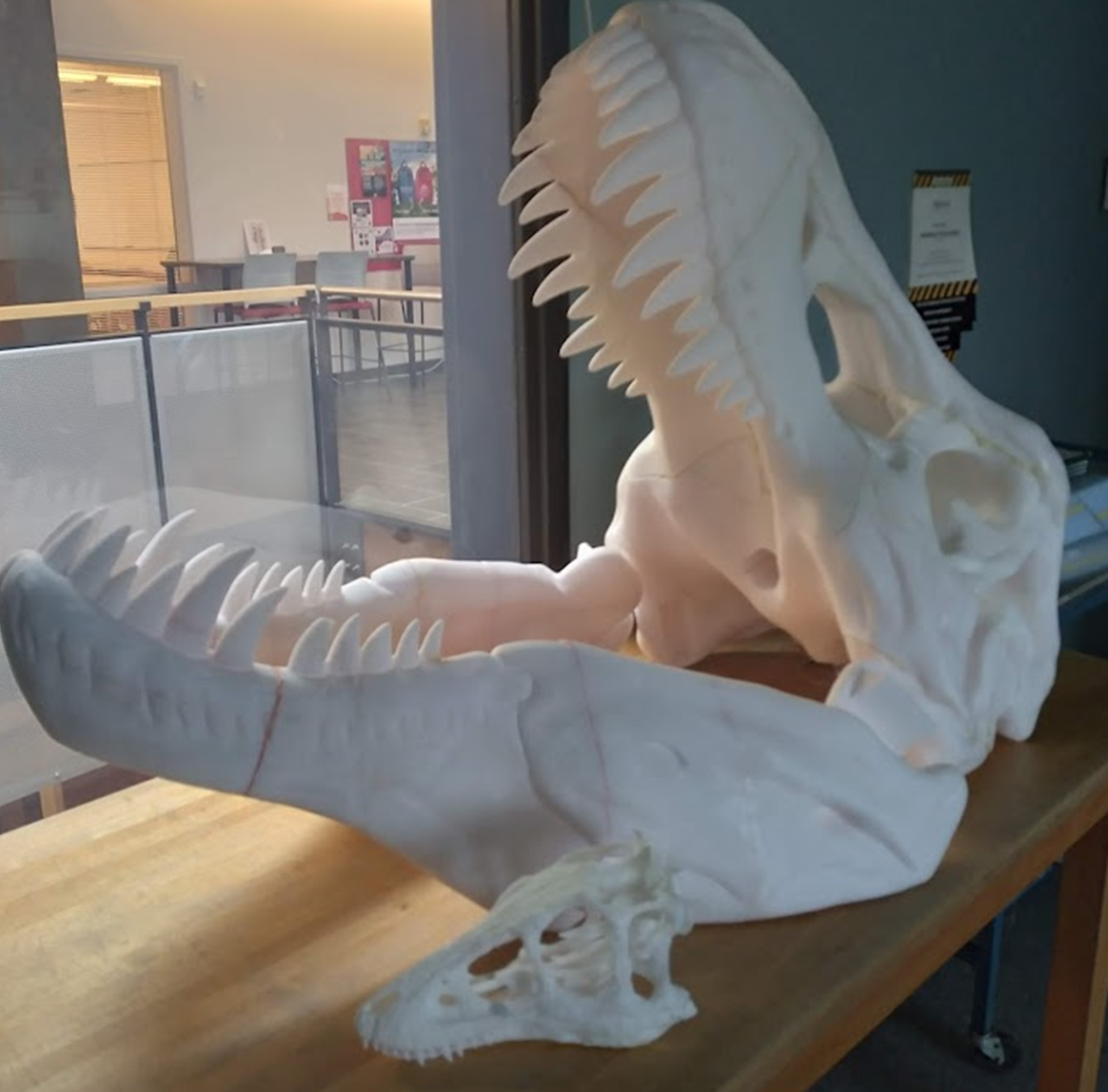 Giant T-Rex skull 3D Printed and on display in MakerSpace.Giant T-Rex skull 3D Printed and on display in MakerSpace.