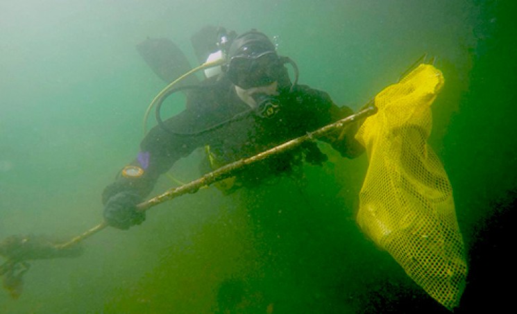 Highline College MaST Center scuba diver collecting debris during Earth Day Pier Clear event