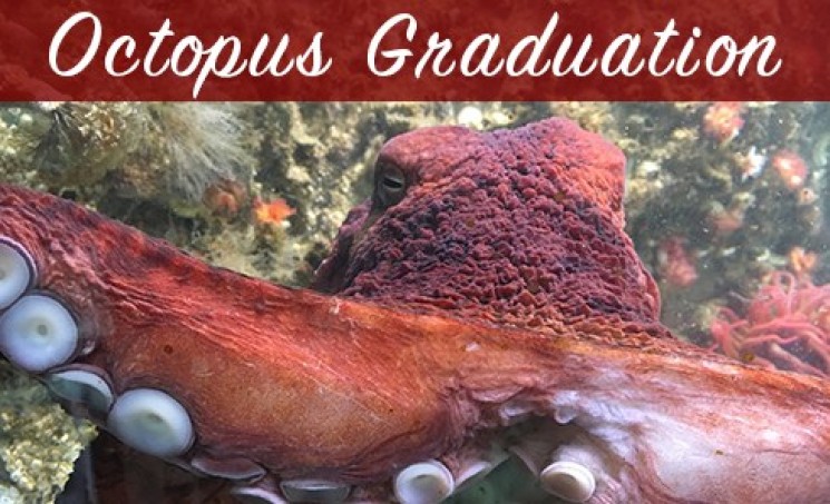 Highline College Octopus Graduation from MaST