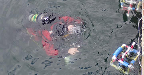 Photo of MaST Center diver with two ROVs