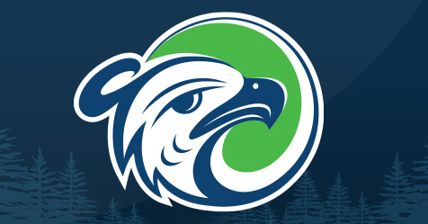 Image of new Thunderbird logo