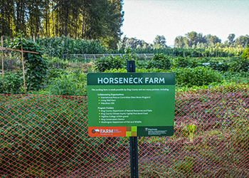 Horseneck Farm sign