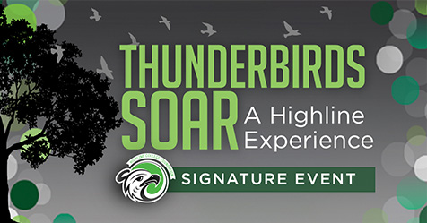 Thunderbirds Soar A Highline Experience